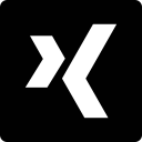 Xing icon